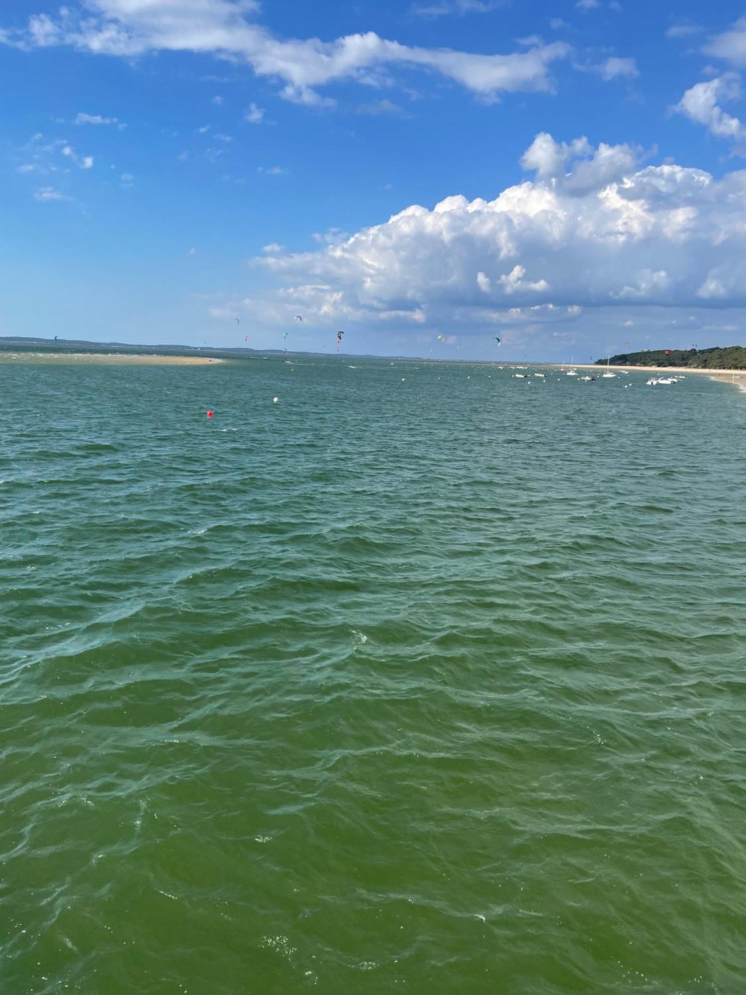 Les Oliviers Lägenhet Le Teich Exteriör bild